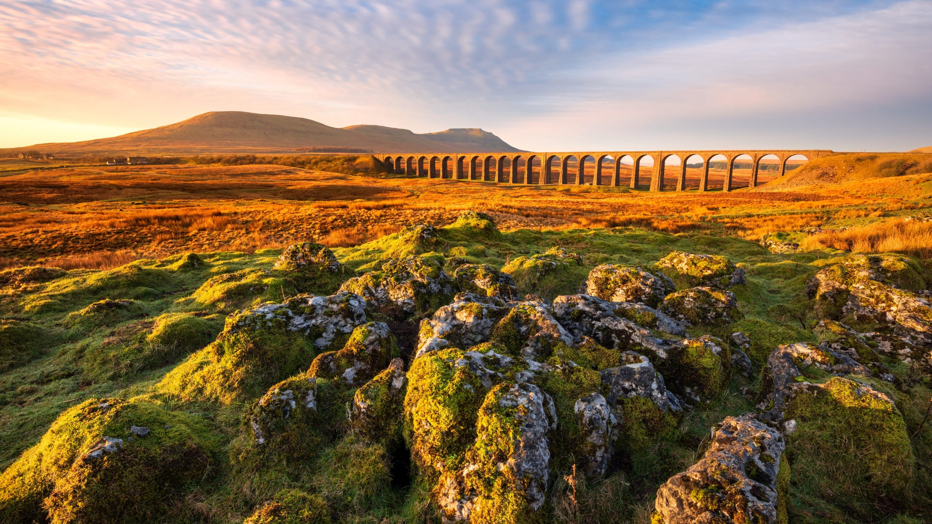 Ribblehead Viaduct Coach Holiday